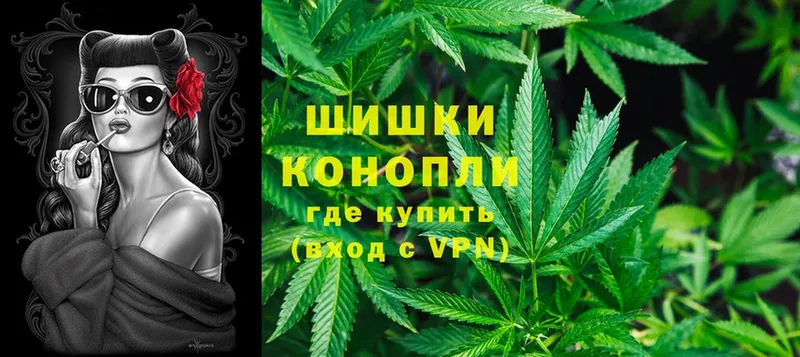 дарнет шоп  мега вход  Шишки марихуана THC 21%  Елабуга 